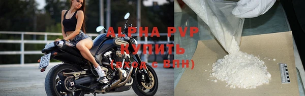 прущая мука Бородино