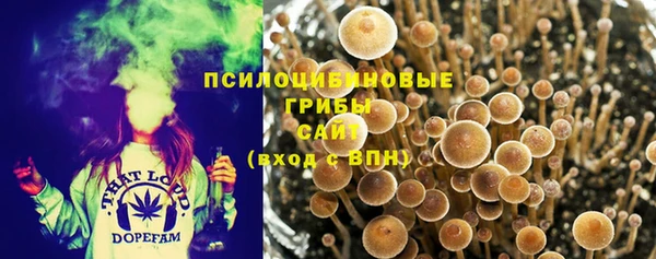 МДПВ Бронницы