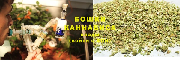 прущая мука Бородино