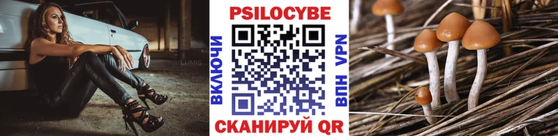 Галлюциногенные грибы MAGIC MUSHROOMS  Козьмодемьянск 
